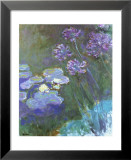 Water Lilies and Agapanthus Láminas por Claude Monet