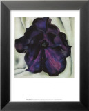 Purple Petunia Posters par Georgia O'Keeffe