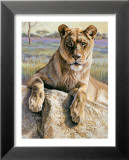 Leona del Serengeti Láminas por Kalon Baughan