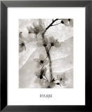Cherry Blossoms in Winter Prints by Ryuijie 