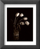 Tulipes dramatiques Affiches par Mark Polomchak