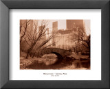 Reflections, Central Park Kunst av Sergei Beliakov Reflections, Central Park Kunst av Sergei Beliakov