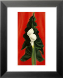 Arums d'Ethiopie sur fond rouge, 1928 Poster par Georgia O'Keeffe