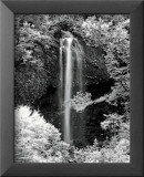 Nature's Jewel I Poster von Mike Jones