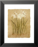 Narcis Poster van Cheri Blum Narcis Poster van Cheri Blum