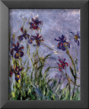 Iris Affiche par Claude Monet