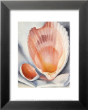 Two Pink Shells, 1937 Posters par Georgia O'Keeffe