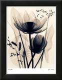 Lotus and Grasses Affiches par Judith Mcmillan