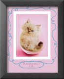 Chaton dans un bocal, « Purrfect Fit » Affiches par Rachael Hale