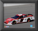Kasey Kahne Lámina