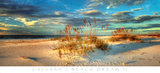Beach Dream II Posters par Doug Cavanah