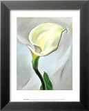 Calla Lily Turned Away, 1923 Affiches par Georgia O'Keeffe
