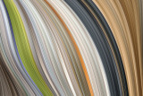 Windswept III Posters af James Burghardt