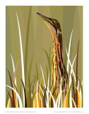 Bittern Posters par Julia Barber