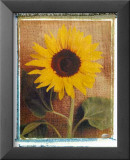 Sunflowers Posters by Vincenzo Ferrato