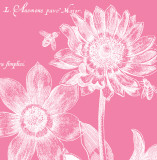 Summer Bees I Pósters por Paula Scaletta