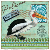 Shorebirds, Pelican Prints by Jennifer Brinley
