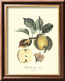 Apple Posters by Pierre-Antoine Poiteau