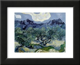 Olivenbäume, 1889 Kunst von Vincent van Gogh