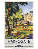 Harrogate Art