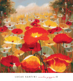 Meadow Poppies IV Prints by Lucas Santini