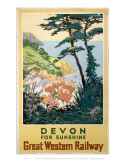 Devon for Sunshine Prints