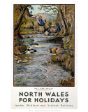 North Wales Affiches