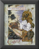 Islands of the Caribbean Affiches par Roy Avis