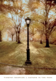 Autumn in the Park Prints by Tim Wampler