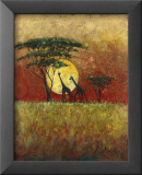 Acacia Sunset Giraffes Láminas por Kathleen Keifer Acacia Sunset Giraffes Láminas por Kathleen Keifer
