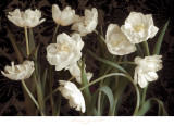 Bountiful Tulips Posters by Donna Geissler