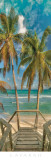 Paseo de playa Arte por Doug Cavanah Paseo de playa Arte por Doug Cavanah