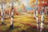 Meadow Clearing Prints by Stephen Douglas