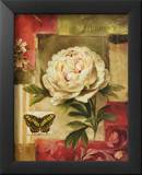Peony and Butterfly Láminas por Lisa Audit Peony and Butterfly Láminas por Lisa Audit