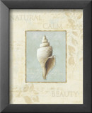 Soothing Words Shells I Kunstdruck von Lisa Audit