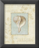 Soothing Words Shells IV Kunstdrucke von Lisa Audit