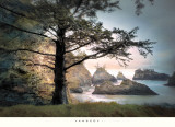 All Day Dreamer Plakat af William Vanscoy