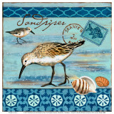 Shorebirds, Sandpiper Posters par Jennifer Brinley