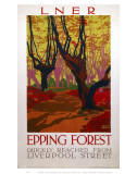 Epping Forest Quickly Reached Arte