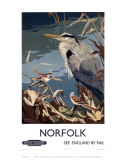 Norfolk Heron Posters
