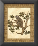 Monkey in a Tree II Láminas por Dianne Krumel Monkey in a Tree II Láminas por Dianne Krumel