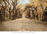 Central Park I Affiches par Tim Wampler
