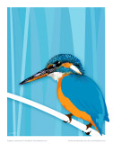 Kingfisher Láminas por Julia Barber