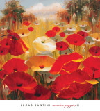 Meadow Poppies III Posters by Lucas Santini