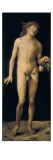Adam Giclee Print by Albrecht Durer Or Duerer