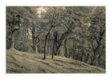 Forest of Fontainebleau Giclee Print by Théodore Rousseau
