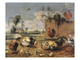 Fight of Cocks Giclee Print by Frans Snyders