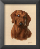 Miniature Basset Affiches par Judy Gibson