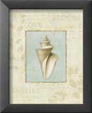 Lisa Audit - Soothing Words Shells III - Reprodüksiyon