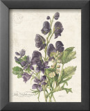 July Delphinium Posters by Katie Pertiet